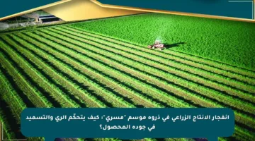 انفجار الإنتاج الزراعي في ذروة موسم “مسرى”: كيف يتحكّم الري والتسميد في جودة المحصول؟